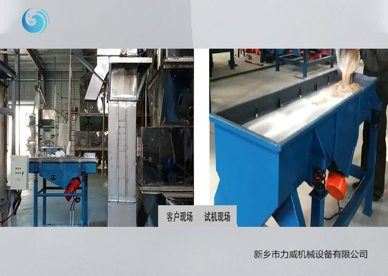 豆粉筛选樱桃视频成人免费观看