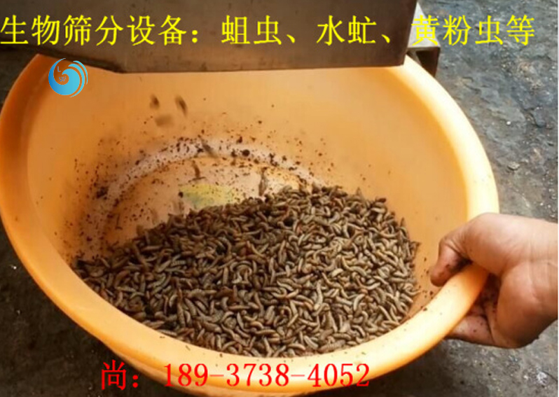 蛆虫筛选3层樱桃视频成人免费观看